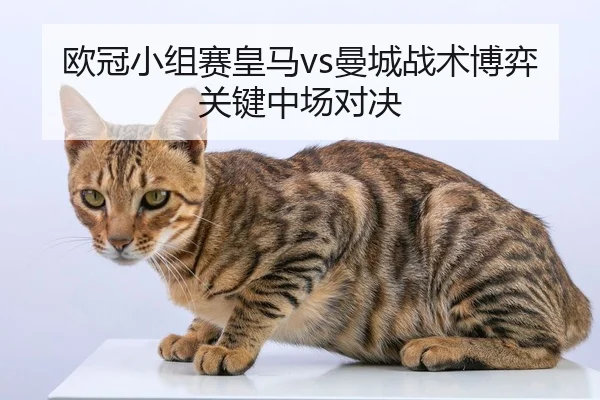 欧冠小组赛皇马vs曼城战术博弈关键中场对决