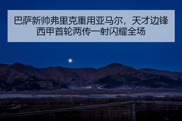 ba-sa-xin-shuai-fu-li-ke-zhong-yong-ya-ma-er-tian-cai-bian-feng-xi-jia-shou-lun-liang-chuan-yi-she-shan-yao-quan-chang-2-634.jpg