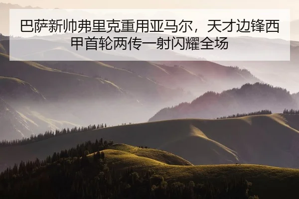 ba-sa-xin-shuai-fu-li-ke-zhong-yong-ya-ma-er-tian-cai-bian-feng-xi-jia-shou-lun-liang-chuan-yi-she-shan-yao-quan-chang-3-295.jpg
