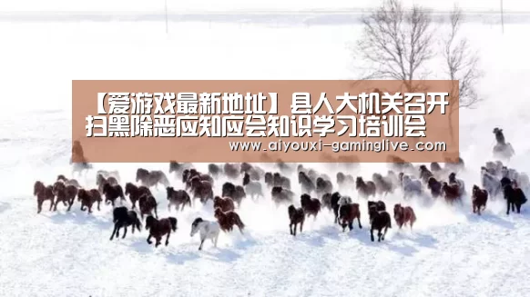 爱游戏最新地址