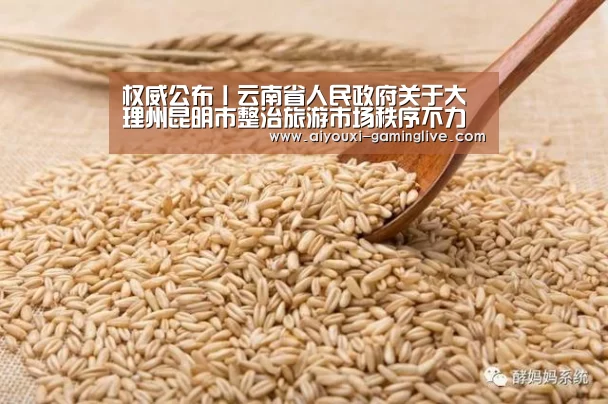 权威公布丨云南省人民政府关于大理州昆明市整治旅游市场秩序不力情况的通报|爱游戏登录入口(图2) 爱游戏APP下载