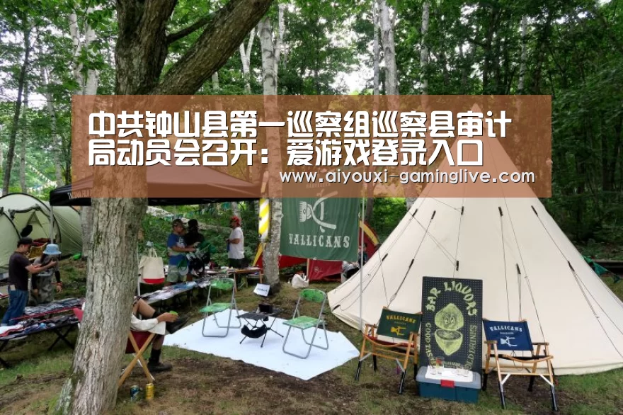 爱游戏最新地址