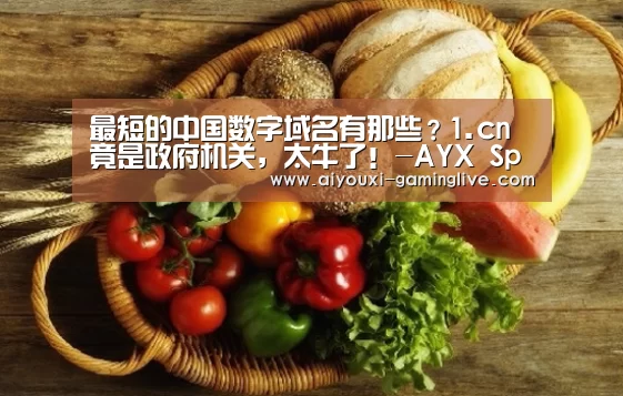 爱游戏最新地址